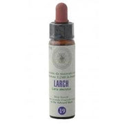 FIORI DI BACH 19 LARCH GTT-1