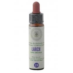 FIORI DI BACH 19 LARCH GTT-1