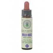 FIORI DI BACH 37 WILD ROSE GTT-1