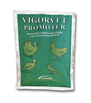 VIGORVET PROMOTER 100G-1