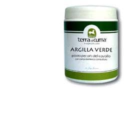 ARGILLA VERDE EQUINI PASTA 1KG-1