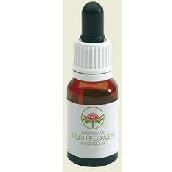 KAPOK BUSH AUSTRALIAN 15ML GTT-1