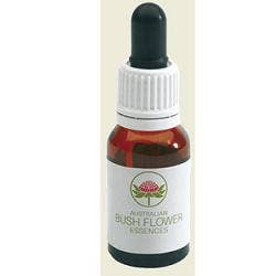 KAPOK BUSH AUSTRALIAN 15ML GTT-1