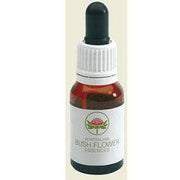 ROUGH BLUEBELL 15ML GTT-1