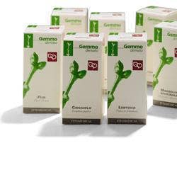 ALBERO GIUDA 200ML MG-1