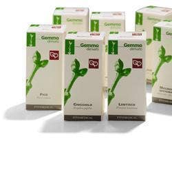 KIWI 50ML MG  - 1