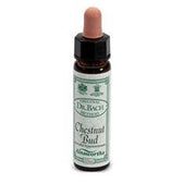 AINSWORTHS CHESTNUT BUD 10ML-1