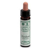 AINSWORTHS HORNBEAM 10ML-1