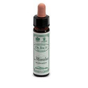 AINSWORTHS MIMULUS 10ML-1
