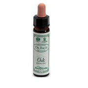 AINSWORTHS OAK 10ML-1
