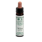 AINSWORTHS WALNUT 10ML-1