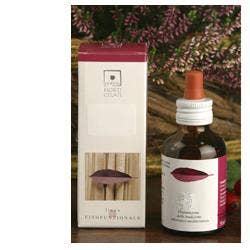 ABIES PECTINATA 50ML STV-1