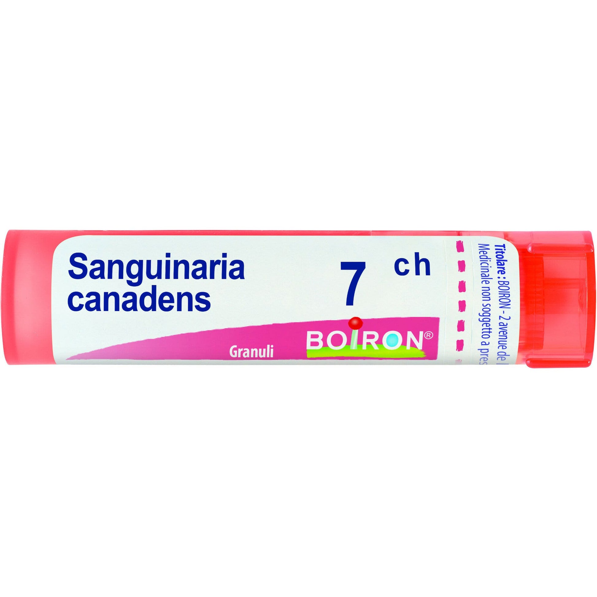 Boiron Sanguinaria Canadens 07Ch Tubo 80 Granuli 4g-1