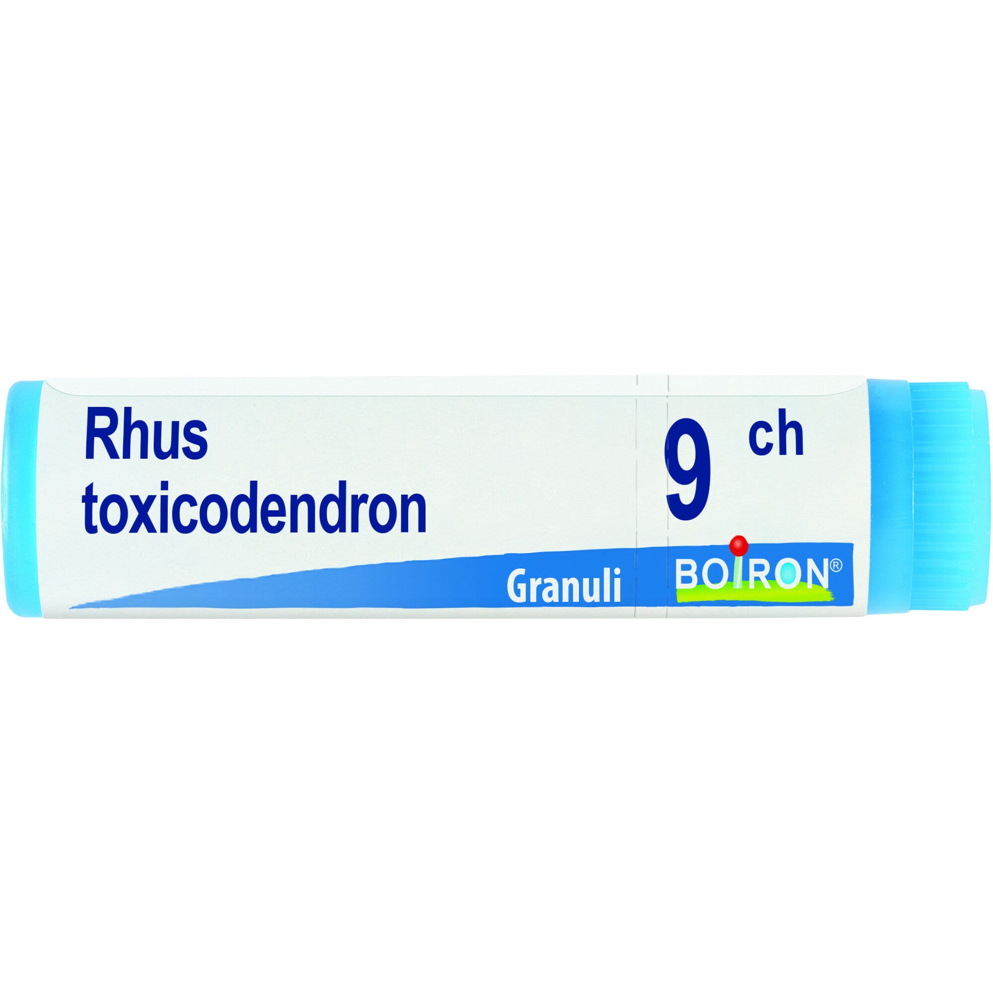 Boiron Rhus Toxicodendron Globuli 09Ch Dose 1g-2