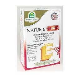 NH NATUR 6 ENERGY 40CPS-1