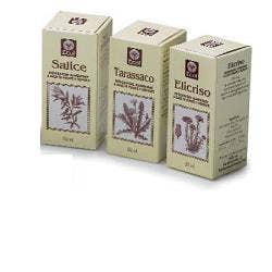 TE VERDE 50ML GTT-1