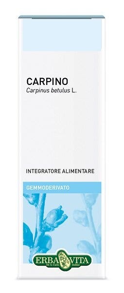 GEMMODERIVATO CARPINO 50ML-1