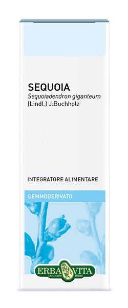 GEMMODERIVATO SEQUOIA 50ML-1