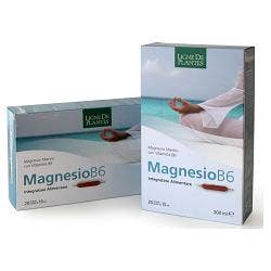MAGNESIO B6 20AMPOLLE-1