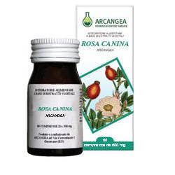 ROSA CANINA 60CPS-1