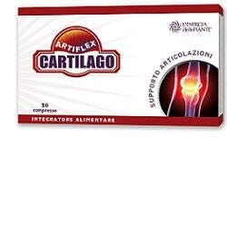 ARTIFLEX CARTILAGO 30CPR-1