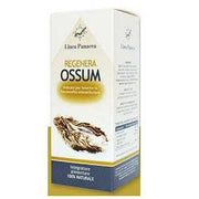 REGENERA OSSUM 80CPS-1