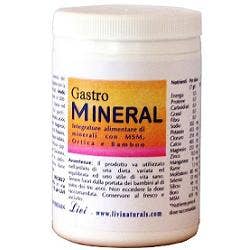 GASTROMINERAL POLV 250G-1