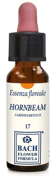 HORNBEAM ORIGINAL 10ML GTT-1
