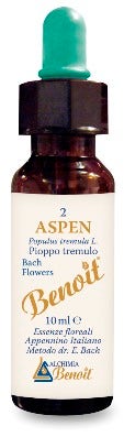 BENOIT FIORI DI BACH ASPEN-1