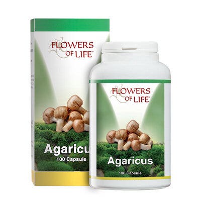 AGARICUS BLAZEI 100CPS FLOWERS-2