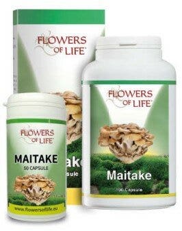 MAITAKE 50CPS FLOWERS OF LIFE-1