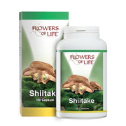 SHIITAKE 100CPS FLOWERS OF LIF-1