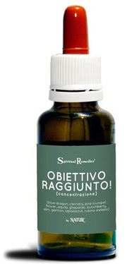 OBIETTIVO RAGGIUNTO CONC NAT M-1