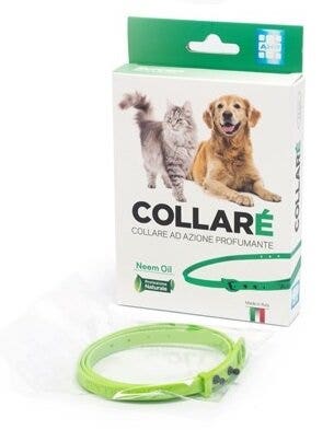 Collare' Collare Cani E Gatti Azione Profumante Con Olio Di Neem Colore Verde-2