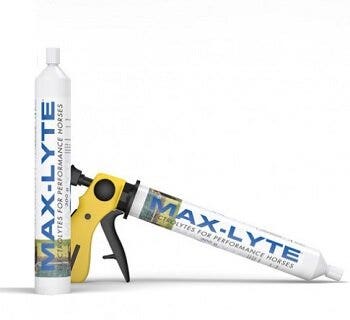 Max Lite Pasta Mangime Complementare Per Equini Sportivi Siringa 100g-2