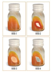 Teknofarma Dtm Dermatophite Test Medium Scatola Da 24 Pezzi-1