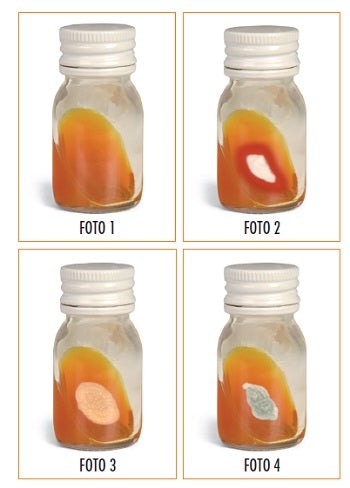 Teknofarma Dtm Dermatophite Test Medium Scatola Da 24 Pezzi-1