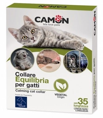 COLLARE AEQUILIBRIA GATTI 1PZ-1