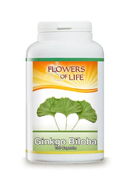 GINKGO BILOBA 100CPS FLOWERS-1