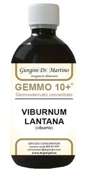 VIBURNO LIQ ANALCOLICO 500ML-1