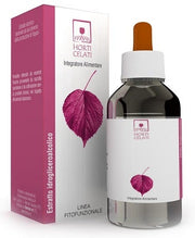 HORTI CELATI RIBES NIGRUM100ML-1