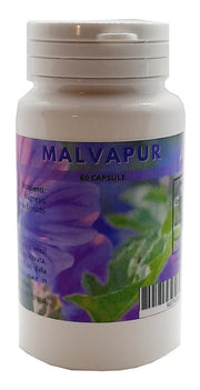 MALVAPUR 60CPS-1