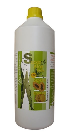 SUCCO GEL ALOE PAPAIA ANANAS-1