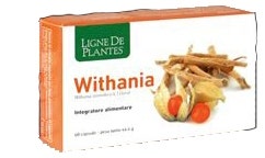 WITHANIA 60CPS-1