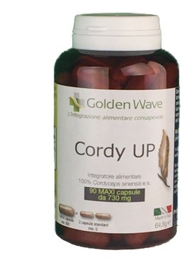CORDY UP 90MAXI CPS-1