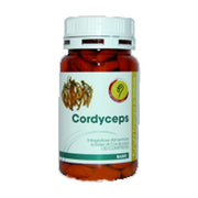 CORDYCEPS LINEA BASIC 120CPR-1