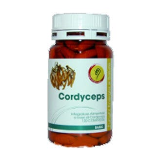 CORDYCEPS LINEA BASIC 120CPR-2