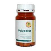 POLYPORUS LINEA BASIC 120CPR-1