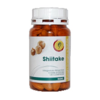 SHIITAKE LINEA BASIC 120CPR-1