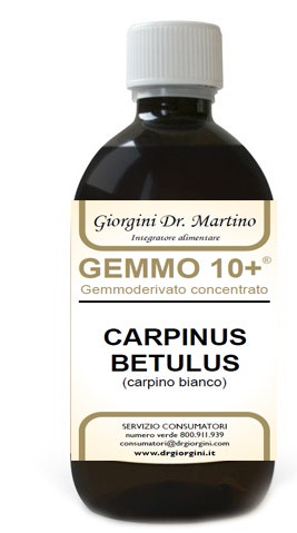 CARPINO BI 500ML ANALCO GEM10+-1